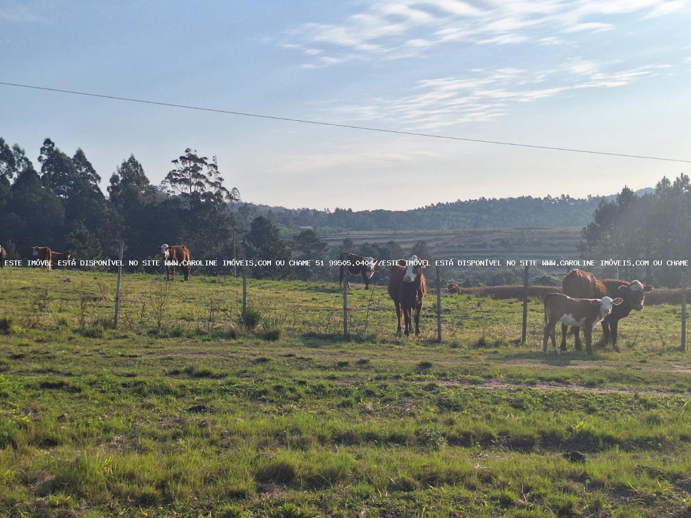 Sítio à venda, 80000m² - Foto 35