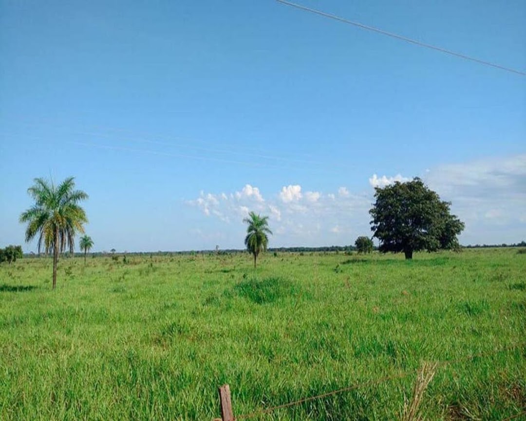 Fazenda à venda - Foto 11