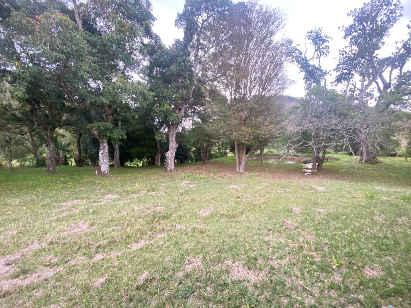 Sítio à venda com 5 quartos, 170000m² - Foto 24