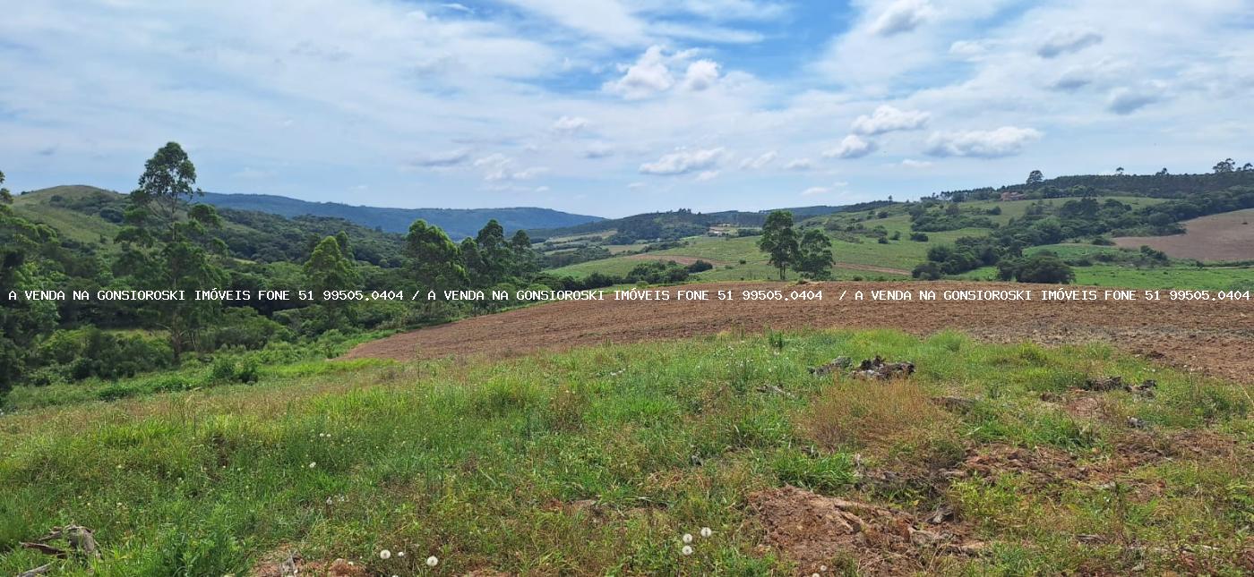 Chácara à venda com 3 quartos, 20000m² - Foto 19