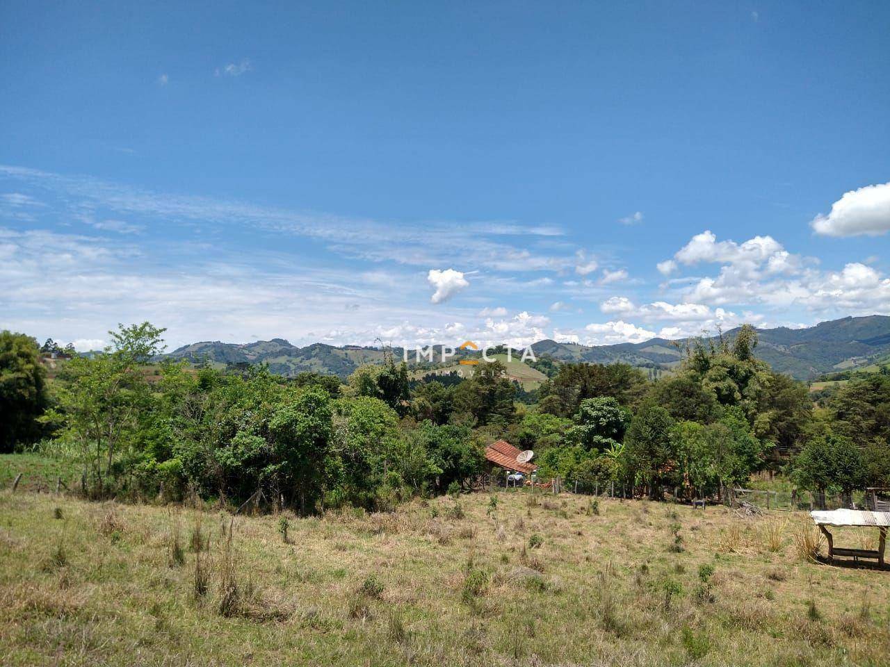 Sítio à venda com 3 quartos, 58000M2 - Foto 49