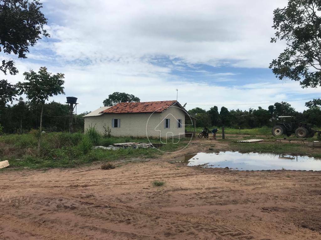 Fazenda à venda, 118290000M2 - Foto 60