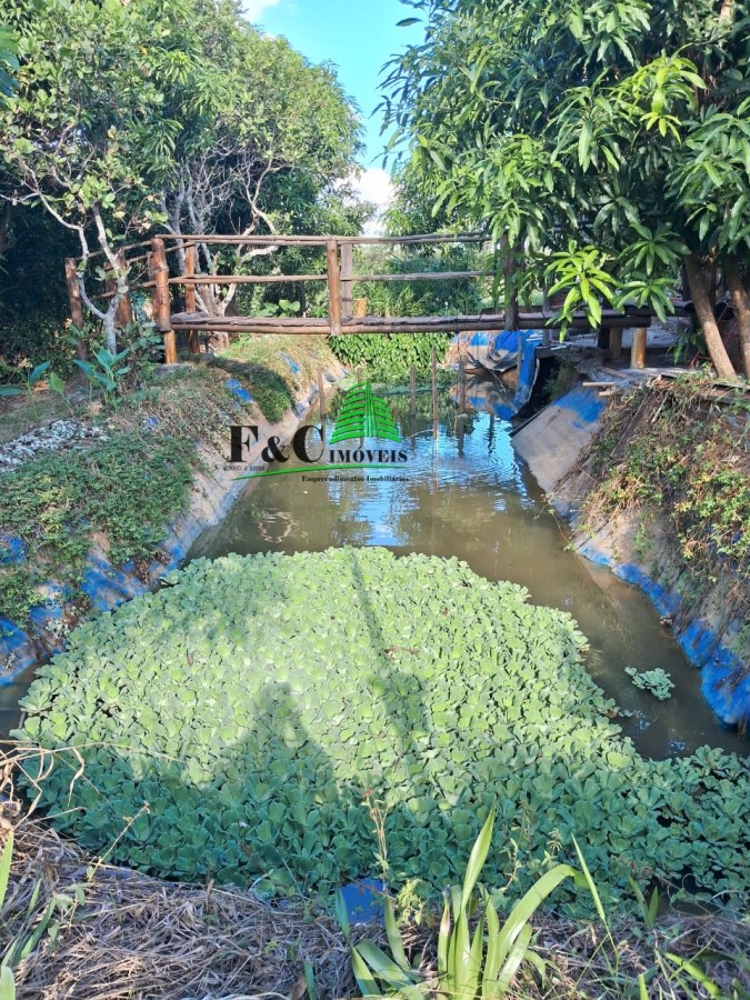 Chácara à venda com 2 quartos, 8000m² - Foto 2