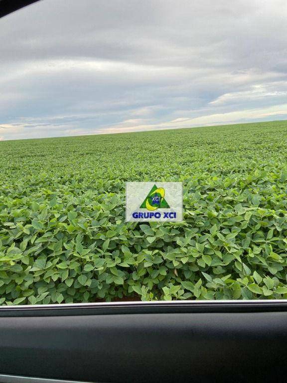 Fazenda, 13072 hectares - Foto 5