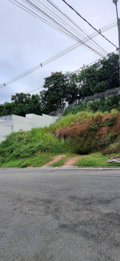 Terreno, 250 m² - Foto 5