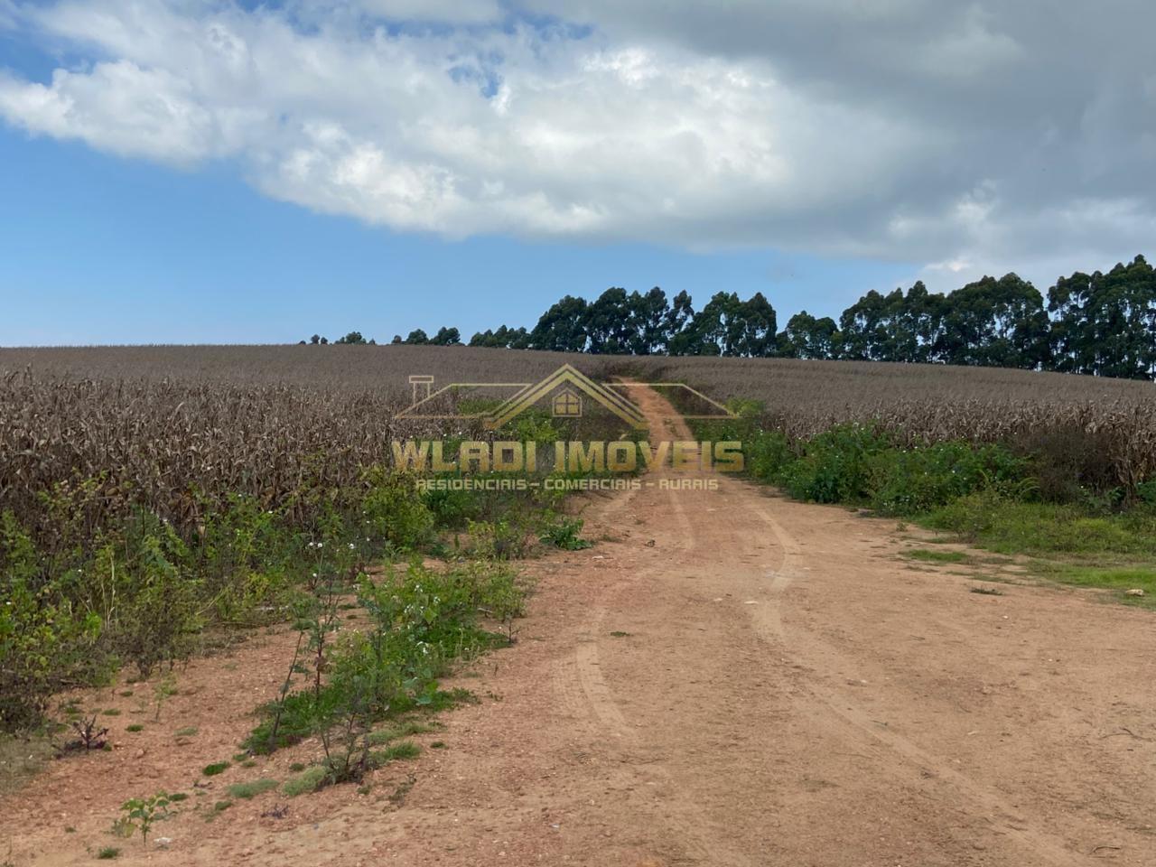 Fazenda-Sítio-Chácara, 70 m² - Foto 25