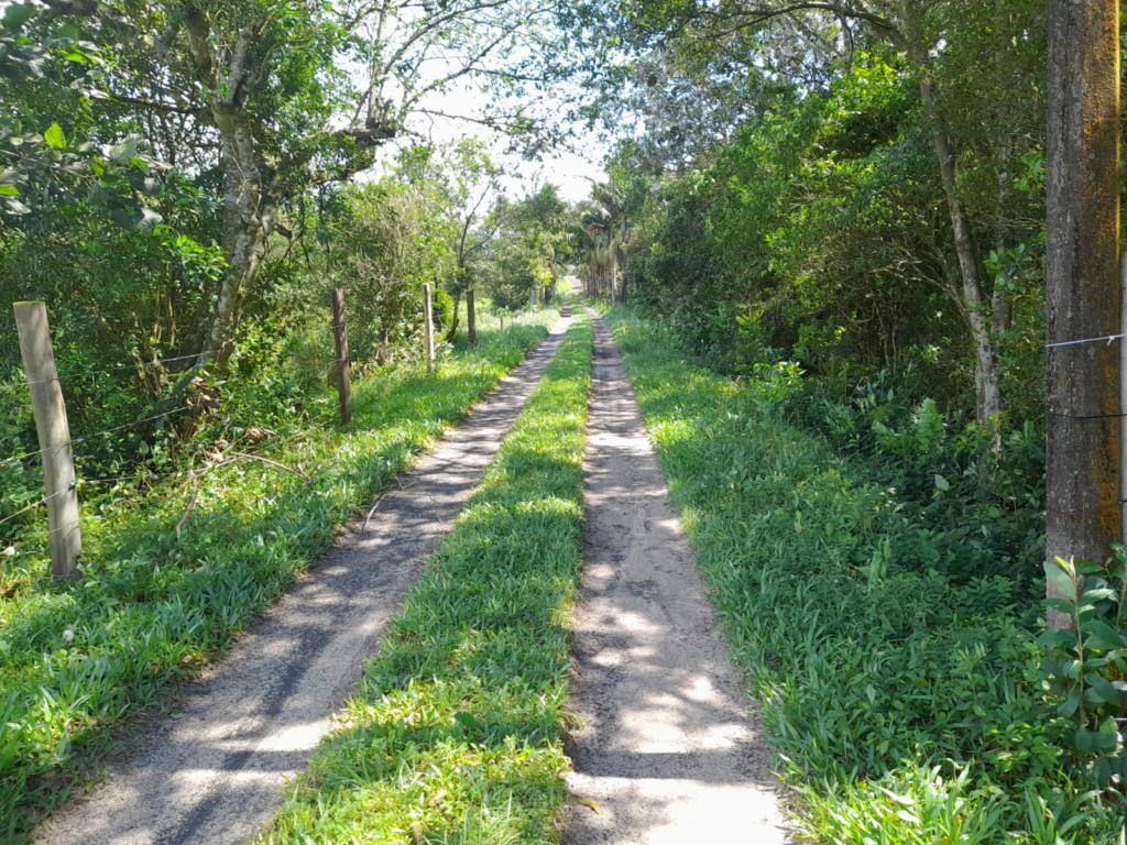 Fazenda à venda com 1 quarto, 156m² - Foto 6