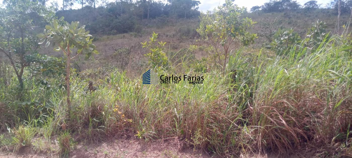 Chácara à venda, 20000m² - Foto 4