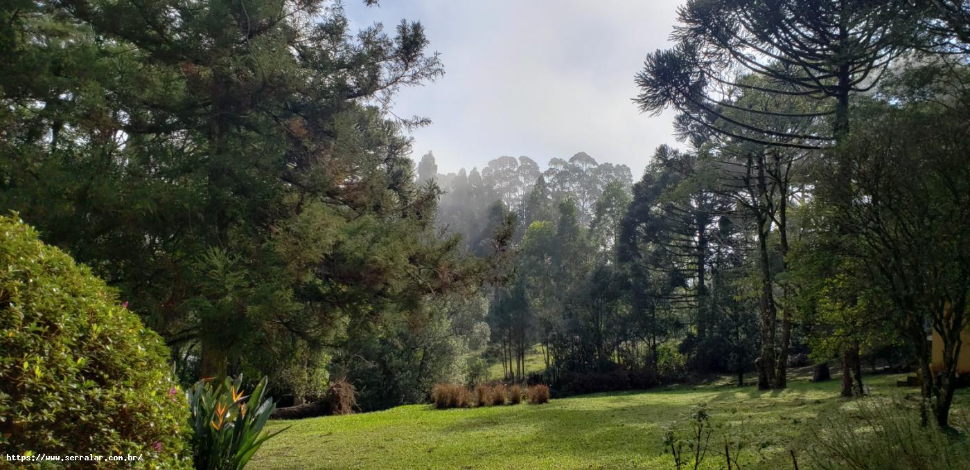 Fazenda à venda com 4 quartos, 15000m² - Foto 41