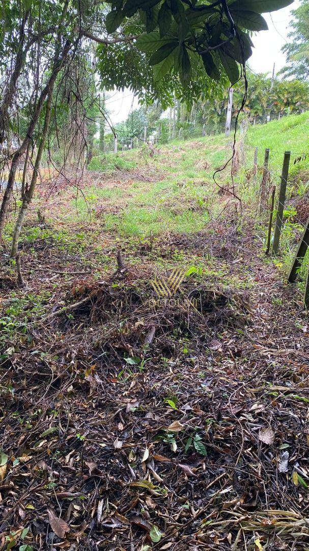 Terreno à venda, 600M2 - Foto 5