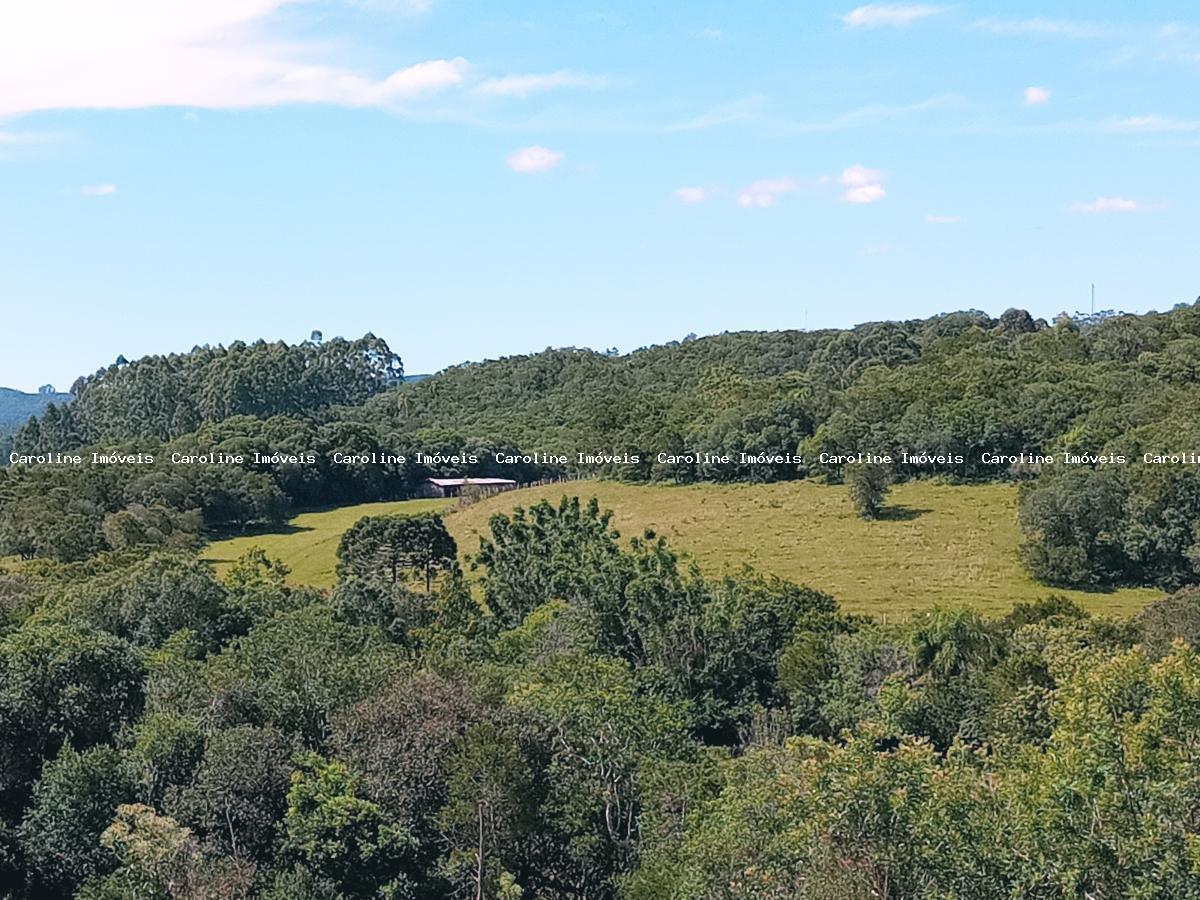 Fazenda à venda com 5 quartos, 625000m² - Foto 44