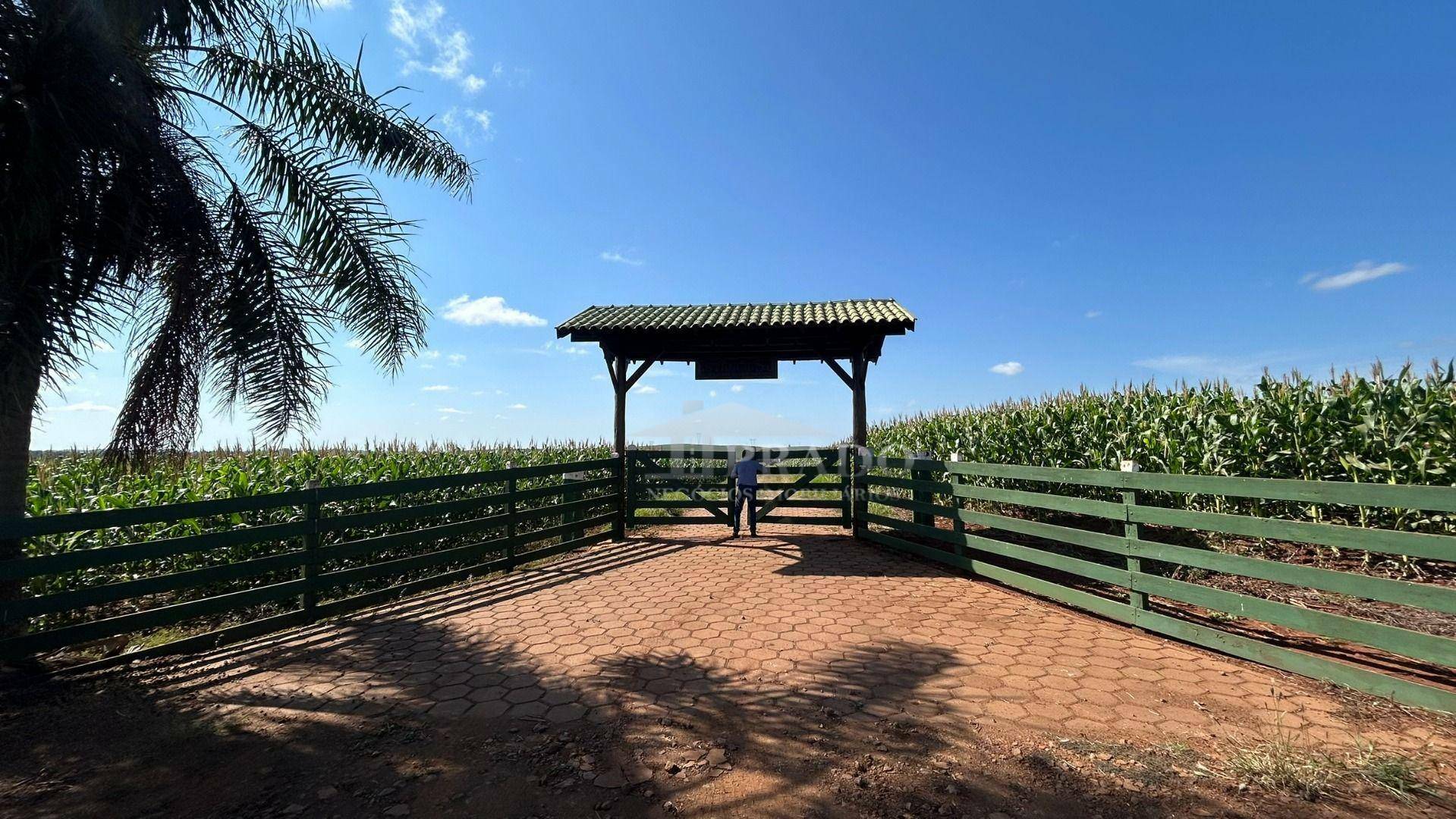 Sítio à venda com 6 quartos, 1100m² - Foto 81