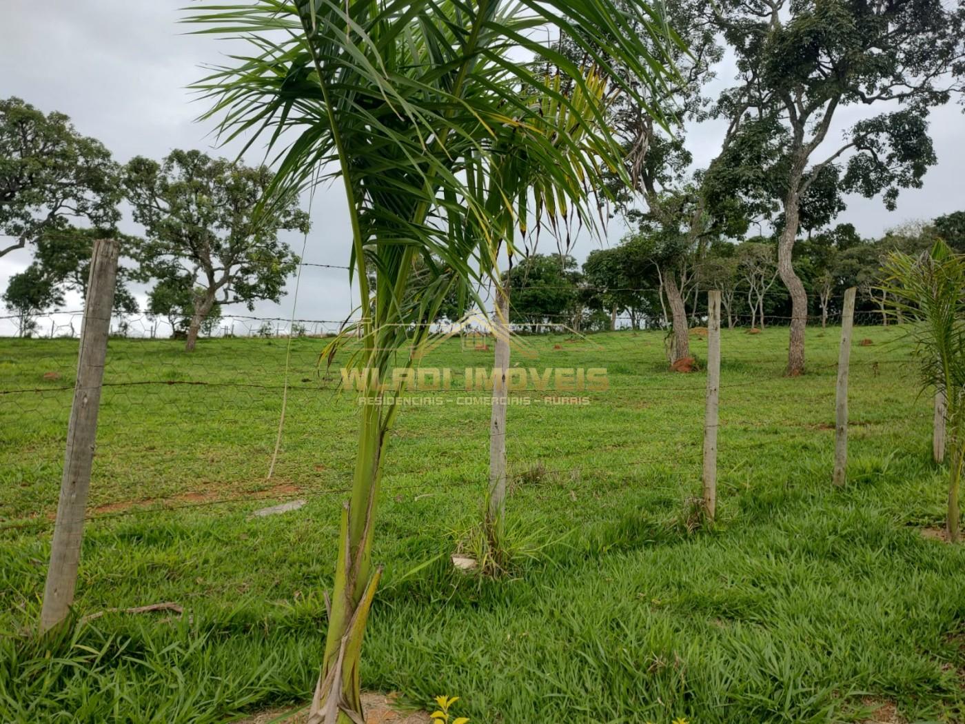 Sítio à venda, 73000m² - Foto 6
