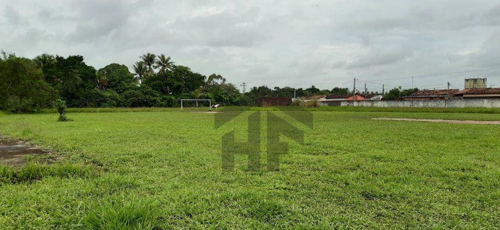 Terreno, 5 hectares - Foto 6