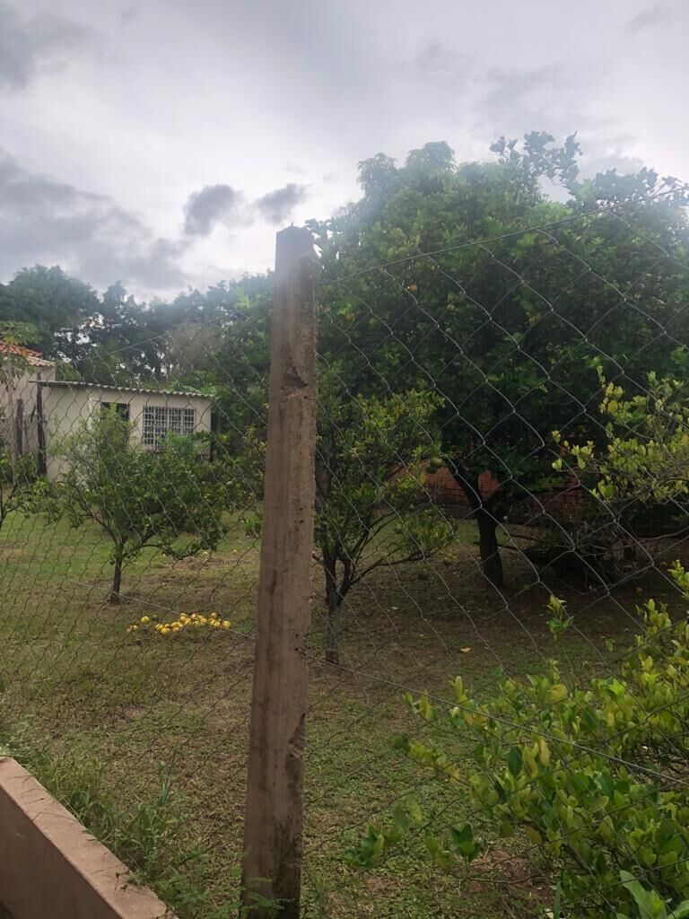 Fazenda à venda com 2 quartos, 2130m² - Foto 28