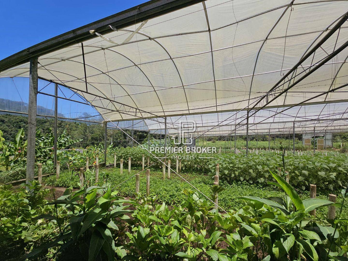 Sítio à venda com 5 quartos, 2500m² - Foto 5