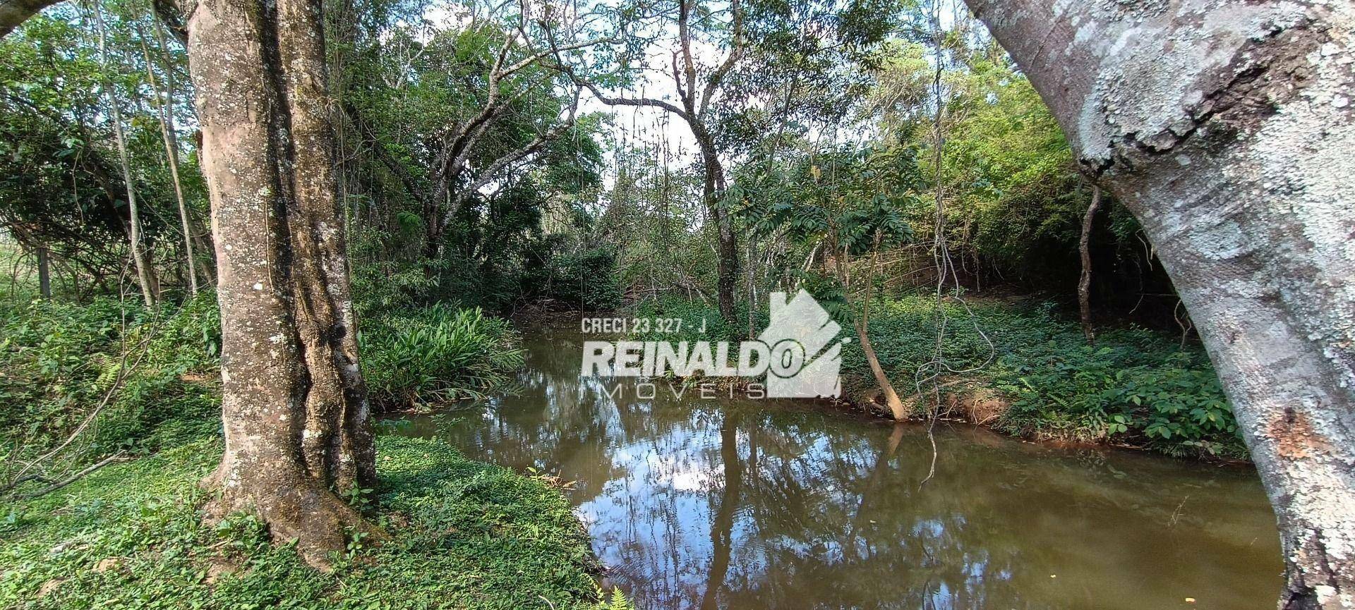 Haras e Área Rural Padrão à venda com 16 quartos, 2500m² - Foto 182