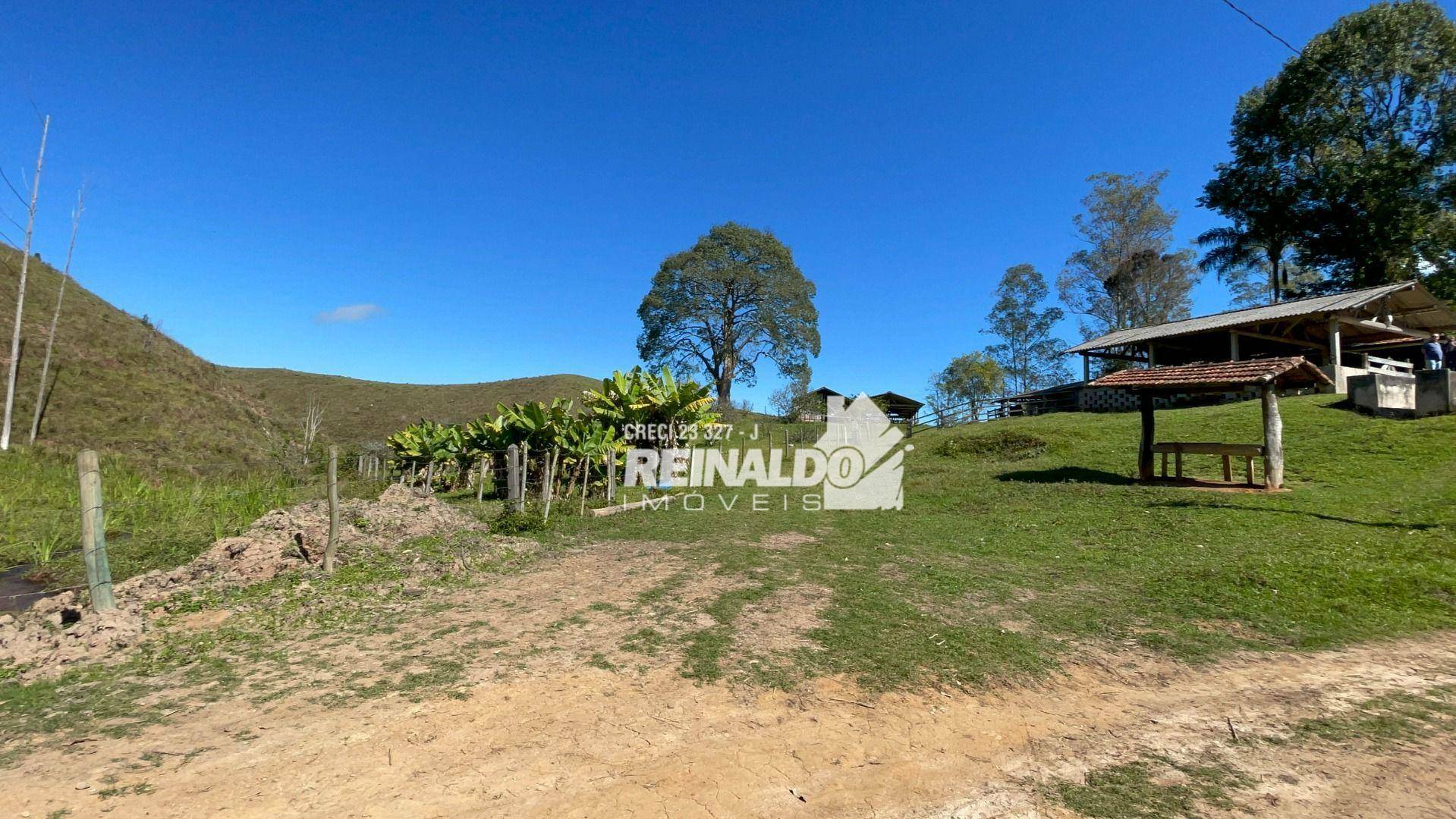 Fazenda à venda com 8 quartos, 900m² - Foto 16