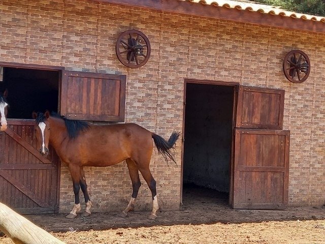 Fazenda à venda com 4 quartos, 5664m² - Foto 1