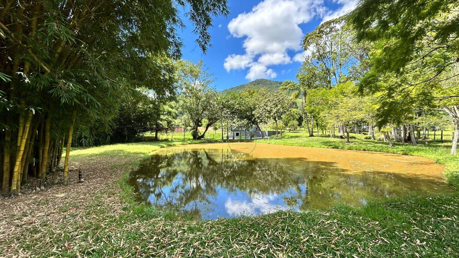 Chácara, 2 hectares - Foto 19