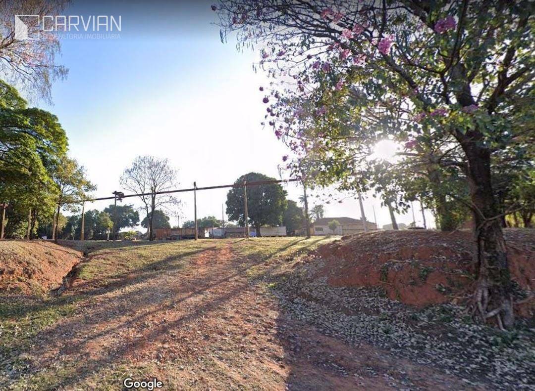 Chácara à venda com 3 quartos, 10900m² - Foto 3