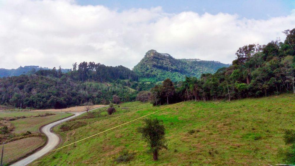 Fazenda à venda, 23900m² - Foto 9