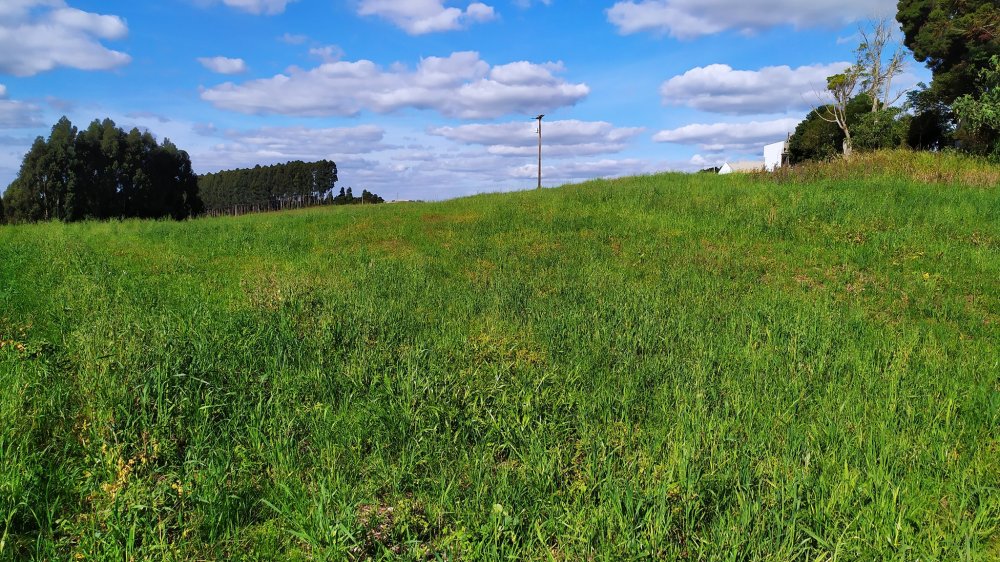 Fazenda à venda com 1 quarto, 24000m² - Foto 8