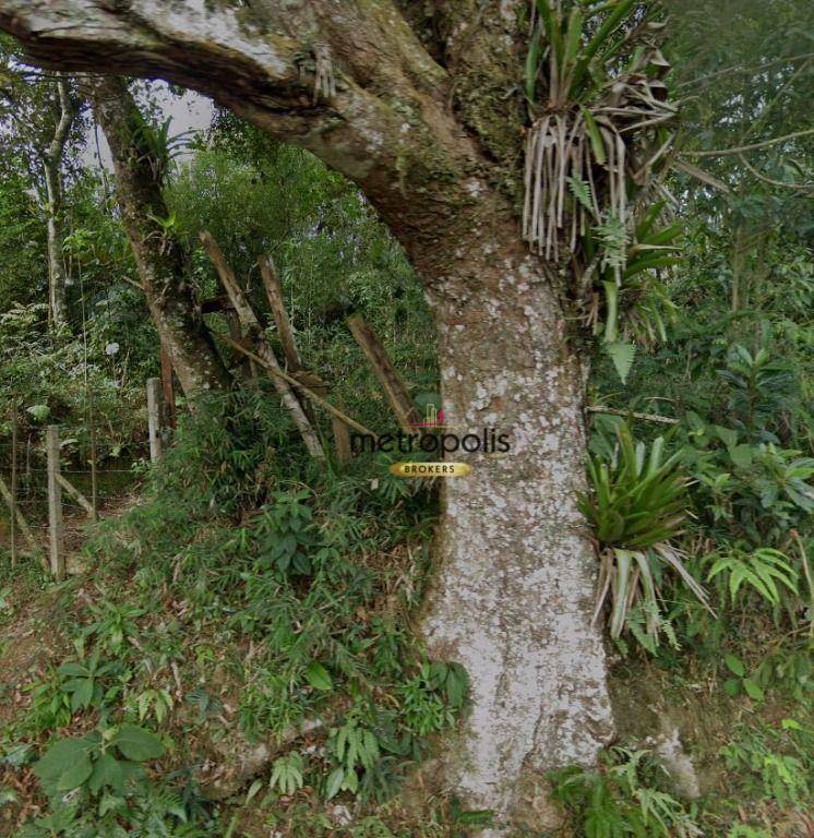 Terreno à venda, 5080M2 - Foto 2