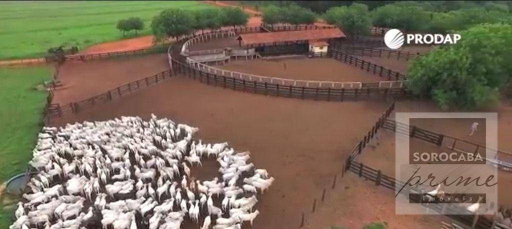 Fazenda à venda, 890000000M2 - Foto 11