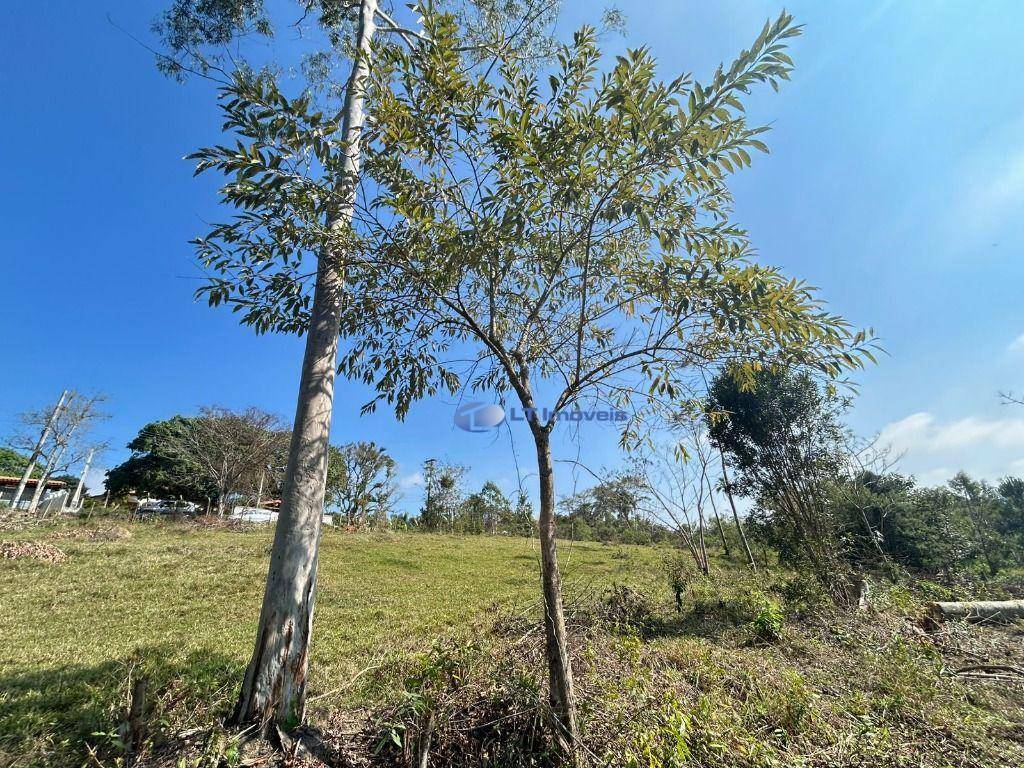 Terreno à venda, 758M2 - Foto 6