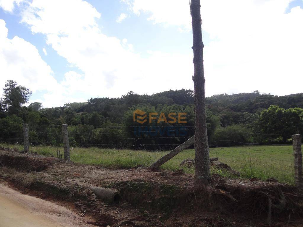 Terreno, 10 hectares - Foto 6