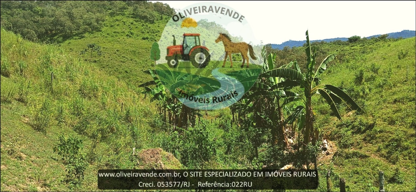 Fazenda à venda com 2 quartos, 24m² - Foto 11