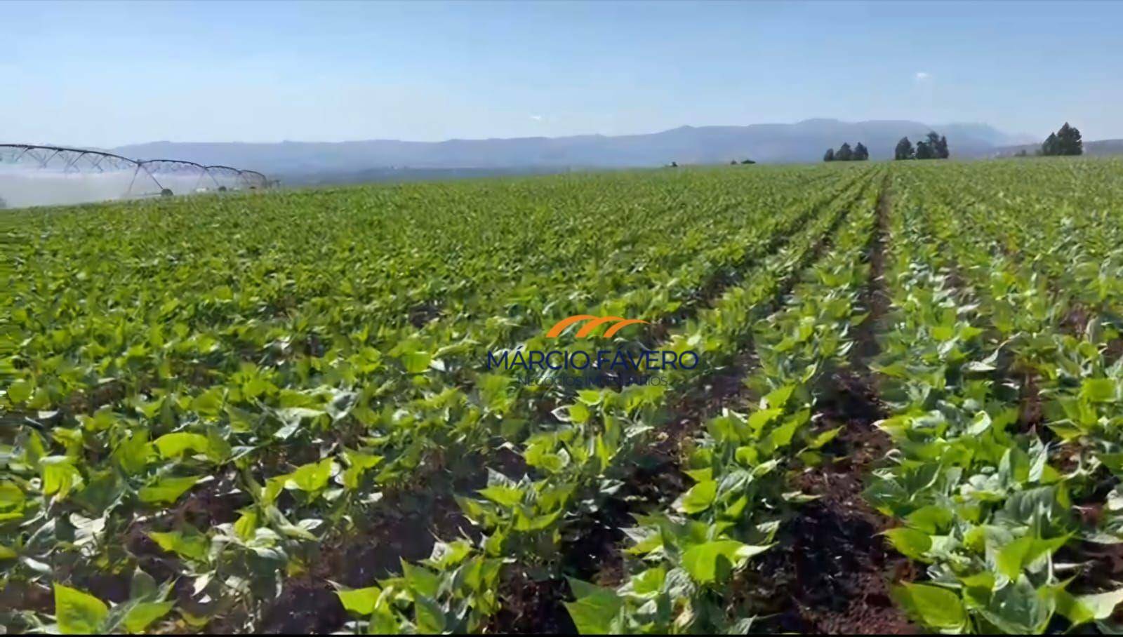 Fazenda à venda, 1560900M2 - Foto 2