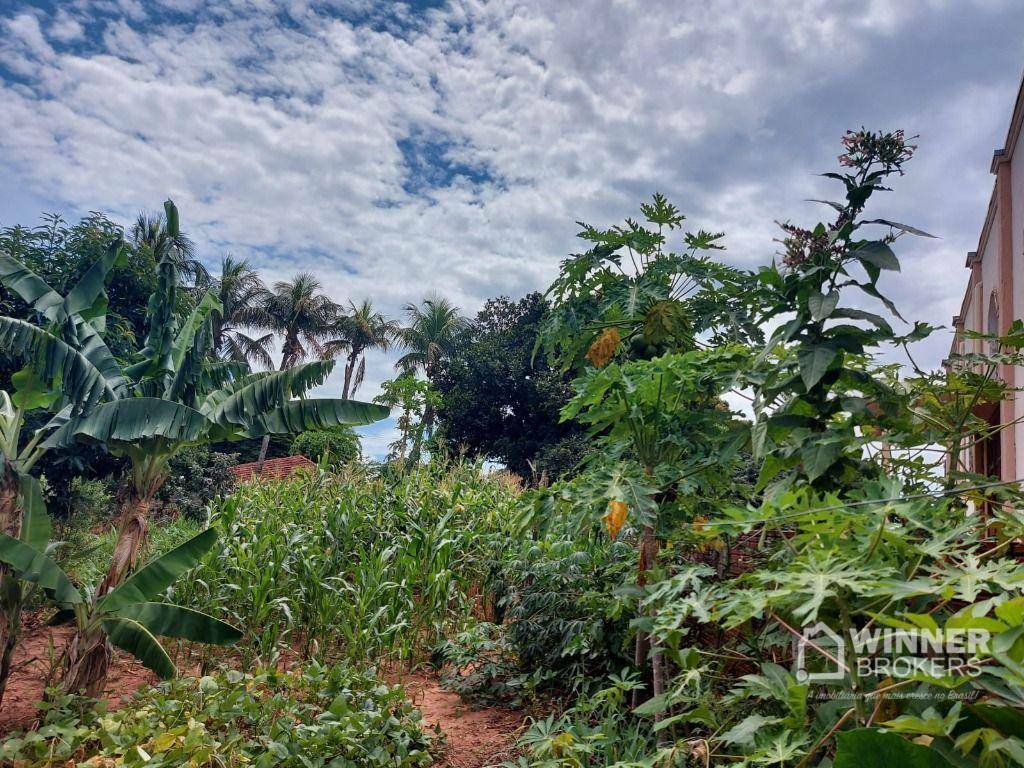 Terreno à venda, 1200M2 - Foto 2