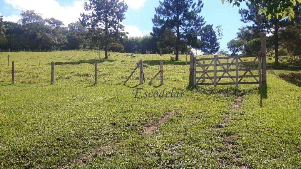 Sítio à venda com 5 quartos, 350m² - Foto 20