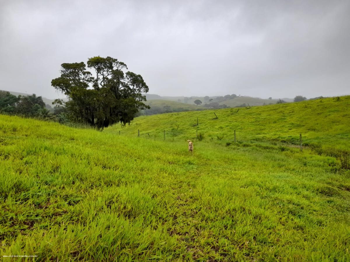 Fazenda à venda com 2 quartos, 61000m² - Foto 19