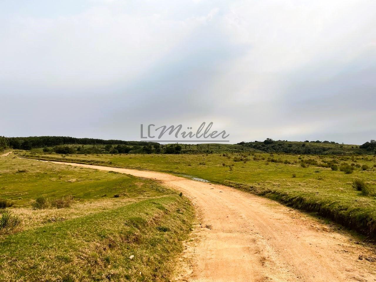 Terreno à venda, 412m² - Foto 4