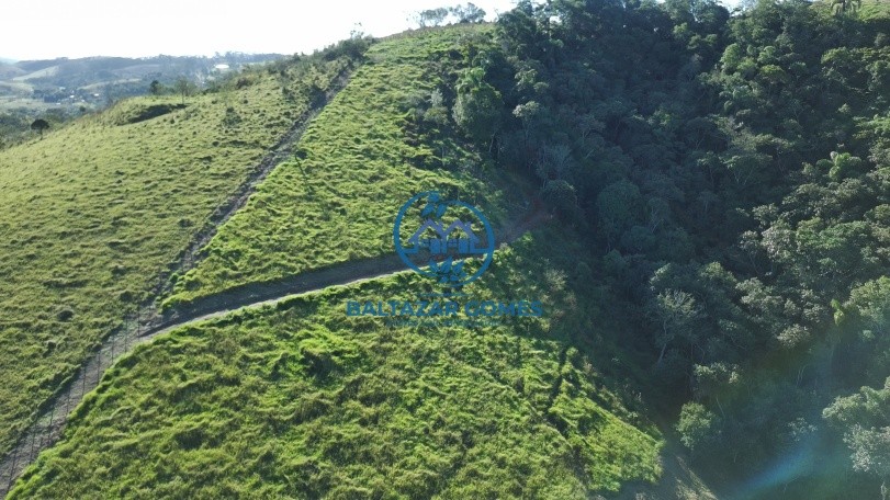 Terreno à venda, 22900m² - Foto 2
