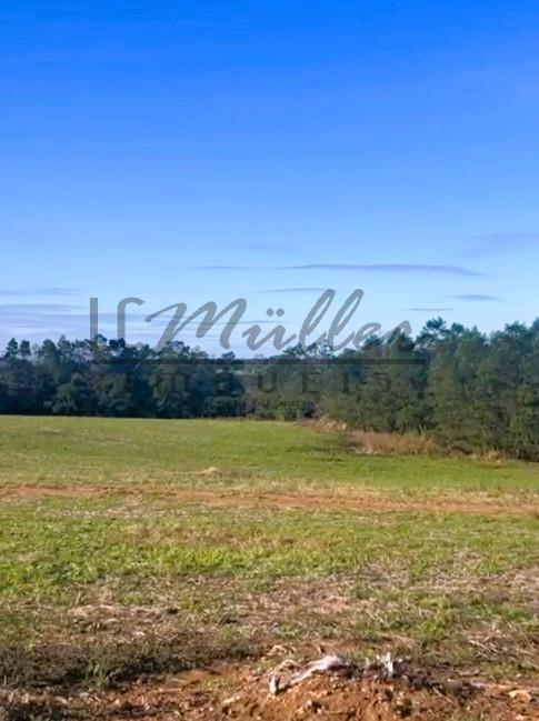 Fazenda-Sítio-Chácara, 209 m² - Foto 3