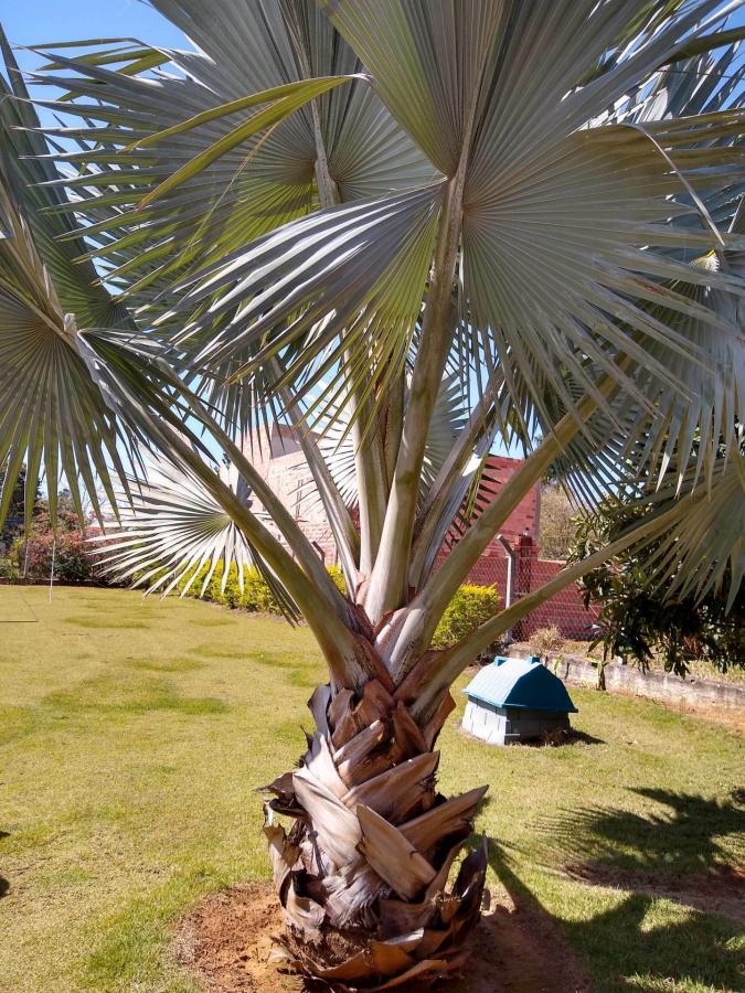 Fazenda à venda com 3 quartos, 1m² - Foto 24