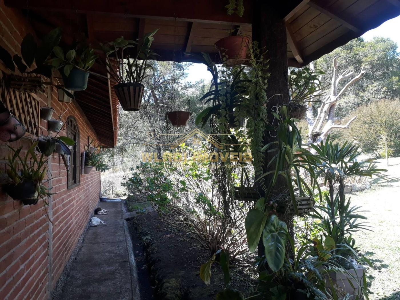 Chácara à venda, 5000m² - Foto 13