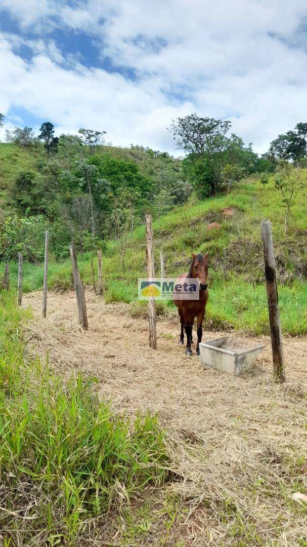 Sítio, 8 hectares - Foto 1