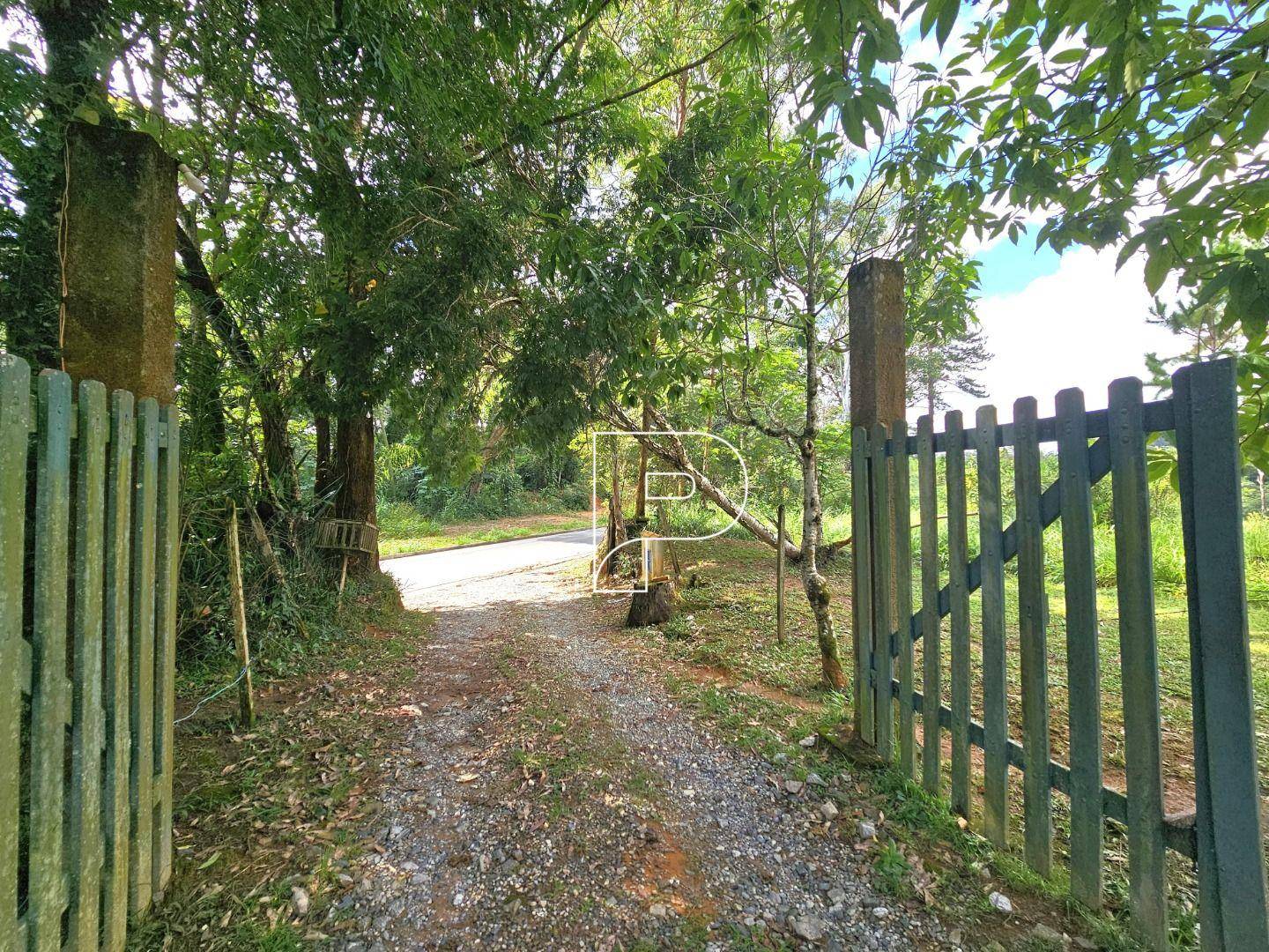 Terreno, 4 hectares - Foto 53