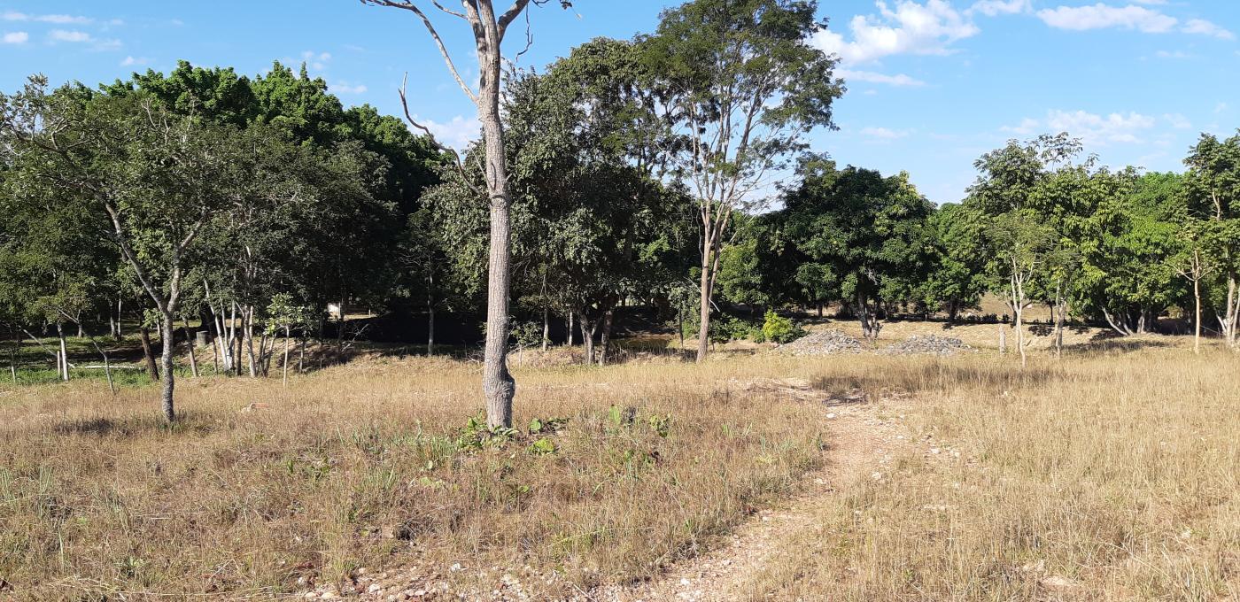 Chácara à venda com 3 quartos, 30000m² - Foto 33