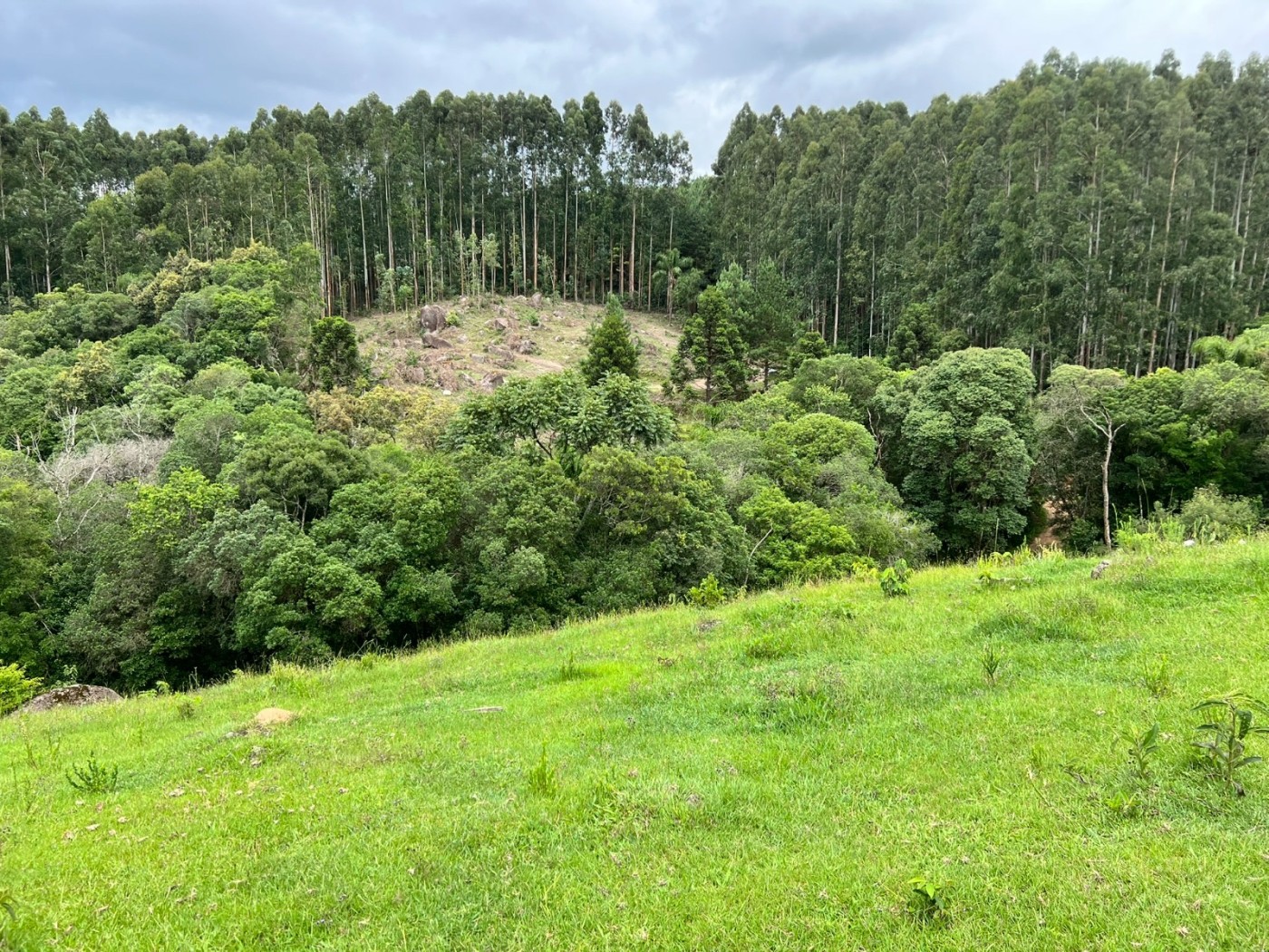 Chácara à venda, 18100m² - Foto 21