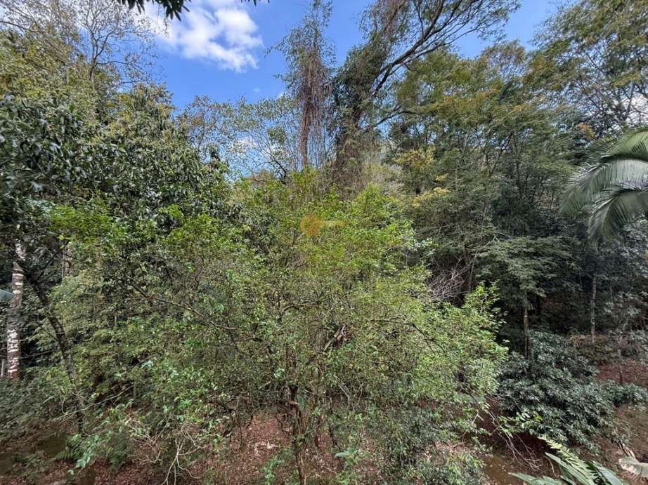 Casa à venda com 4 quartos, 3597m² - Foto 42