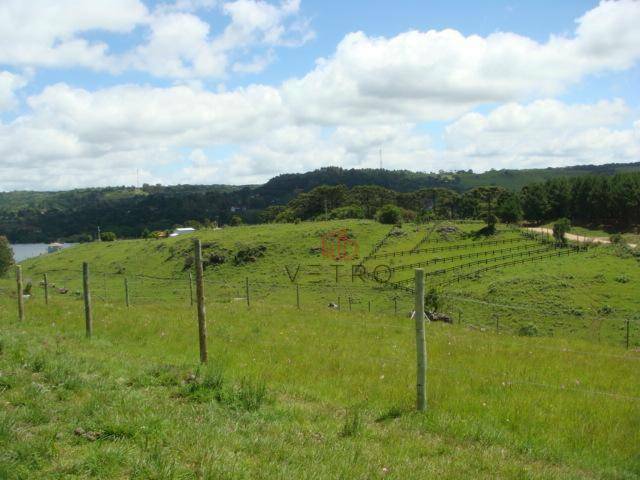 Terreno à venda, 1170M2 - Foto 4