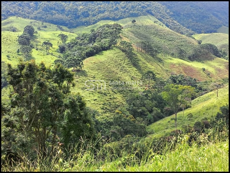 Fazenda à venda, 300m² - Foto 21