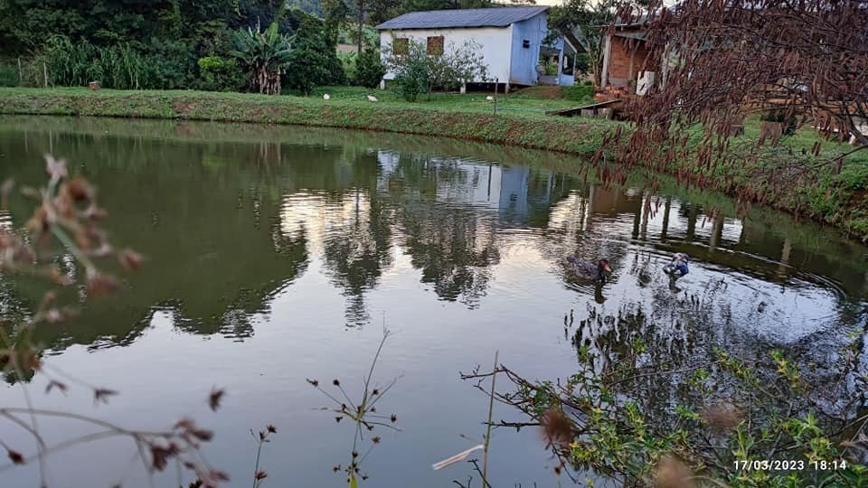 Fazenda à venda com 2 quartos, 8m² - Foto 6