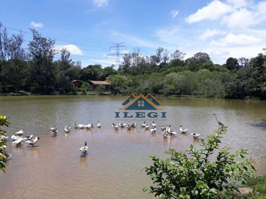 Casa de Condomínio à venda com 6 quartos, 800m² - Foto 3